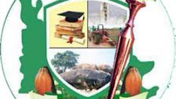 Ogun Assembly passes Health Insurance bill, another into law